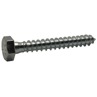 A2360320500# 1/2 X 5 HEX LAG 316 STAINLESS